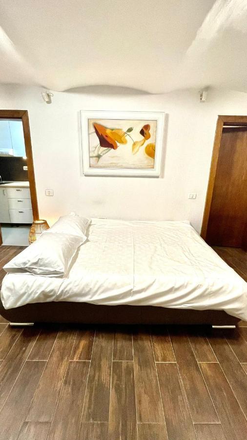 Ultracentral Apartment Arad Esterno foto